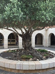 Christian Film Production in Israel